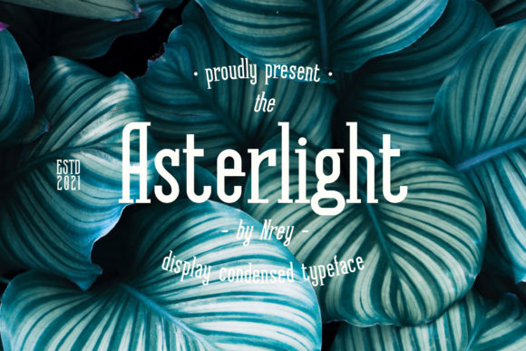 Asterlight: A Bold Serif for Business Branding