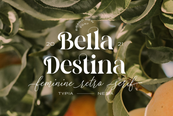 Bella Destina Font for Web Design