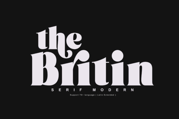 Britin: A Bold Serif Font for Web Design