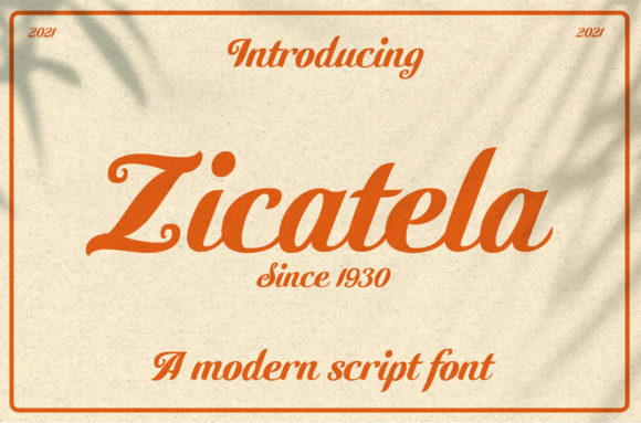 Zicatela: A Bold Font for Business Branding